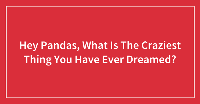 Hey Pandas, What Is The Craziest Thing You Have Ever Dreamed? (Closed)