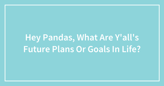 Hey Pandas, What Are Y’all’s Future Plans Or Goals In Life? (Closed)