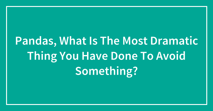 Pandas, What Is The Most Dramatic Thing You Have Done To Avoid Something? (Closed)