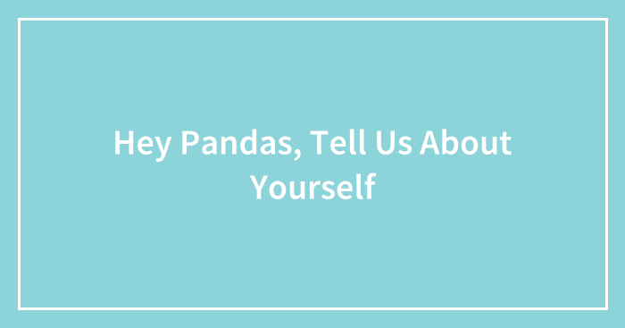 Hey Pandas, Tell Us About Yourself (Closed)