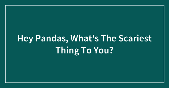 Hey Pandas, What’s The Scariest Thing To You? (Closed)