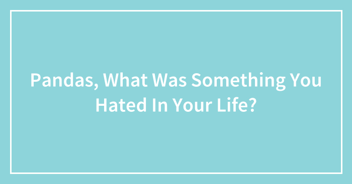 Pandas, What Was Something You Hated In Your Life? (Closed)