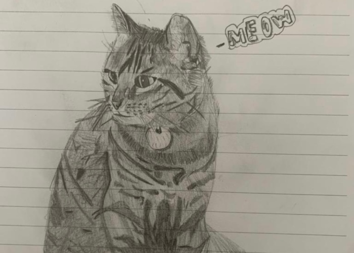 Pandas, Draw Your Best Cat And Post It Here (Closed)