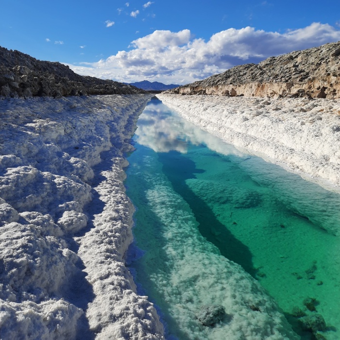 Pandas, What Picture (Taken On Your Phone) Are You Most Proud Of? (Closed)