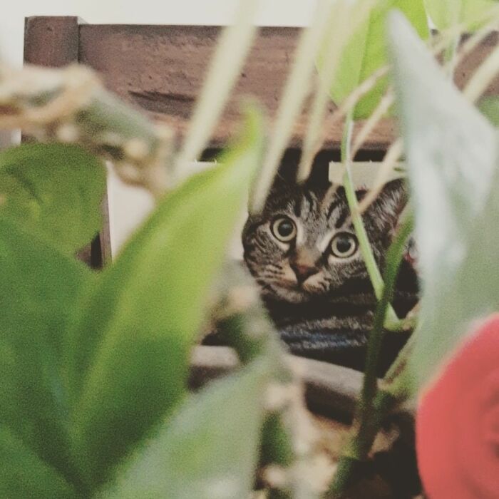 Hey Pandas, What’s The Best Photo You’ve Ever Taken? (Closed)