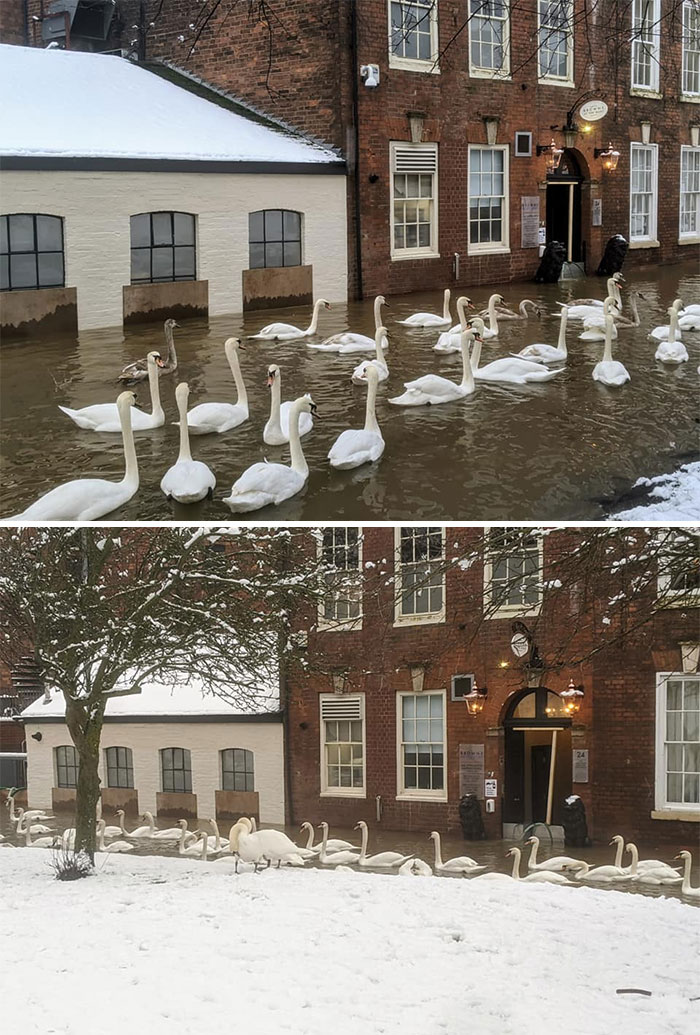 It's Over. Even The Weather Is Swan. They Have Won