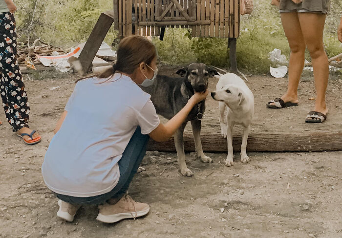 Dog Won't Stop Barking At This Stranger Who Stopped To Pet Him, Leads Him Into The Mountains To This Abandoned Baby | Bored Panda