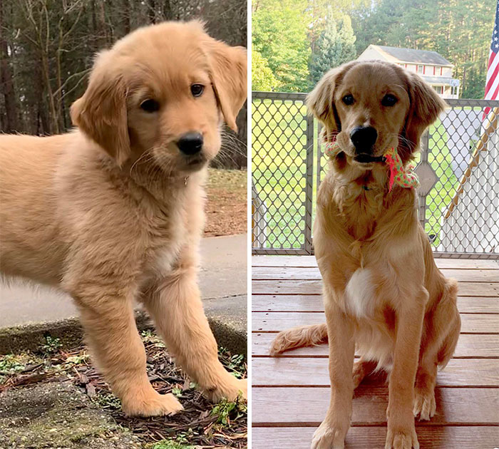 6 Weeks To 6 Months And Still Growing