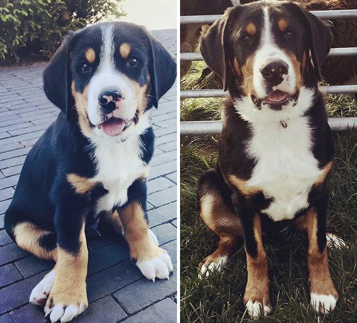 One Month vs. 6 Months