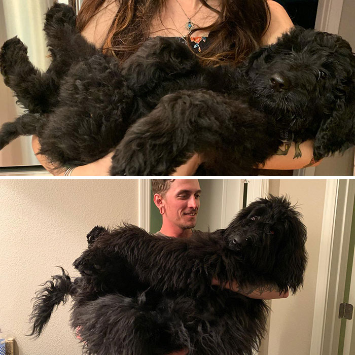 13 Weeks To 7 Months! Mom Can’t Hold Him Like That Anymore