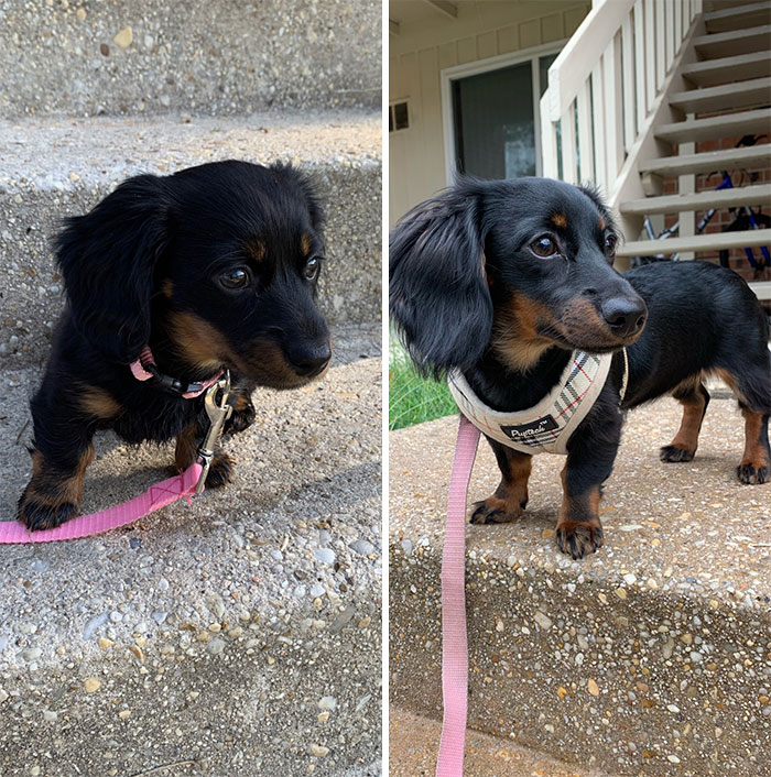 2 Months To 6 Months