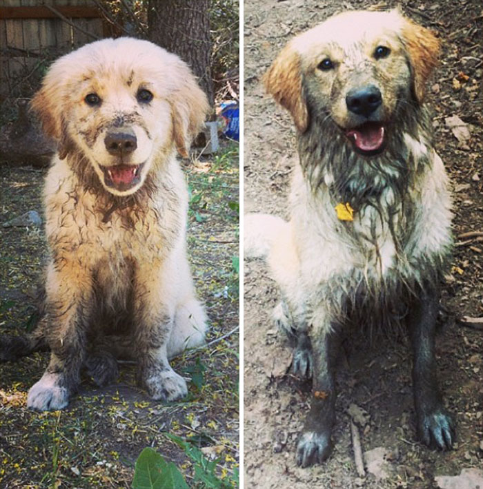 2 Months To 1 Year. Not Much Has Changed