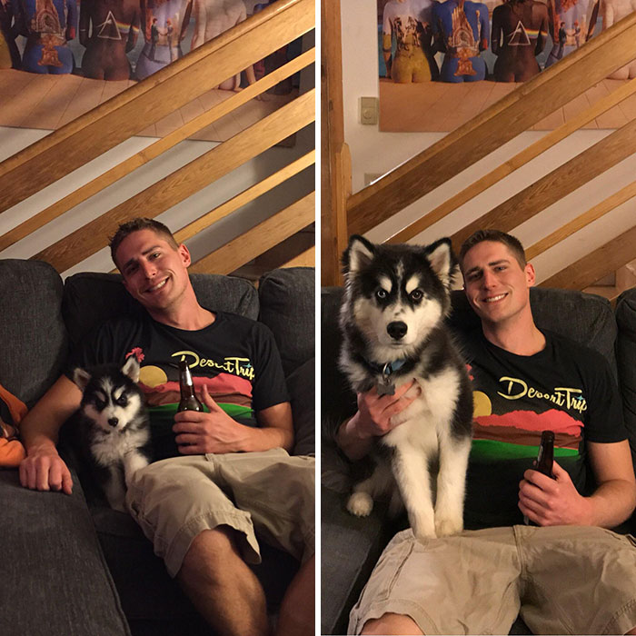 6 Weeks To 6 Months. Notice I Had To Hold Him In Place This Time