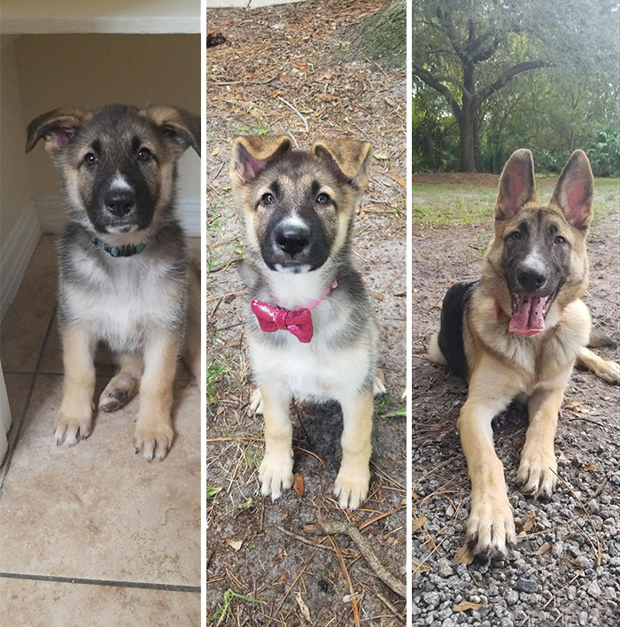 8 Weeks To 6 Months
