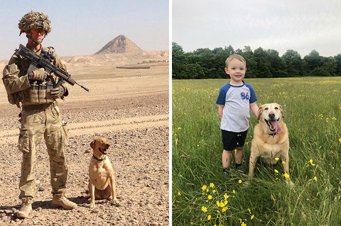 Same Dog, 7 Years Apart And A World Away, Now Living Happily In Retirement With This Soldier And His Family