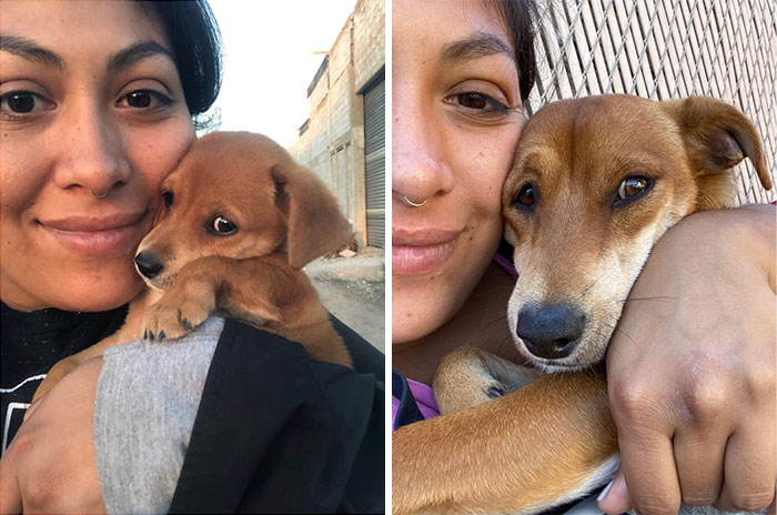 This Is A Year Apart. Last Year When I Found This Little Guy Walking The Streets And Today Getting Cuddles
