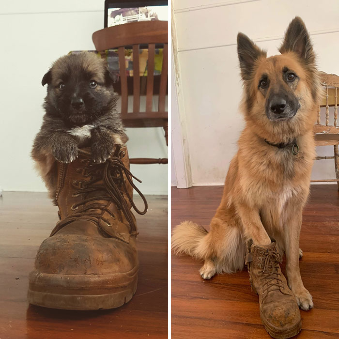 Same Boot, 3 Years Later
