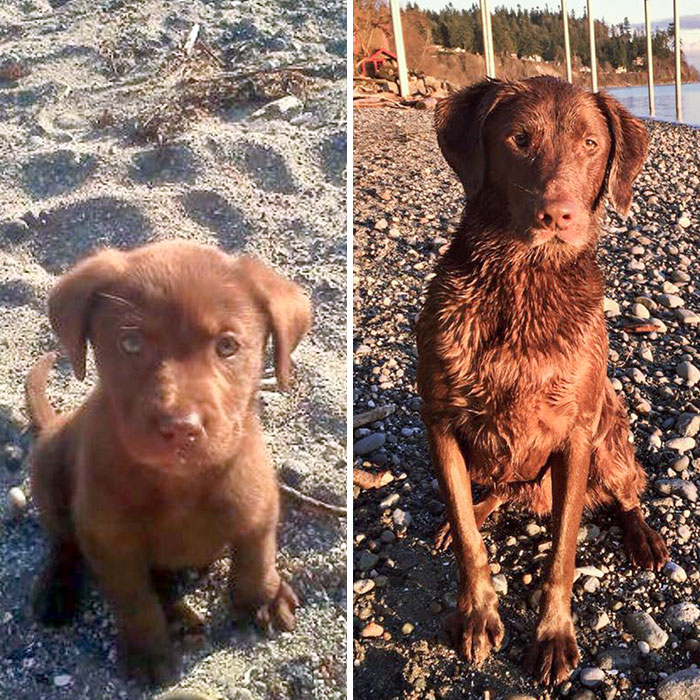 At The Same Beach Four Years Later
