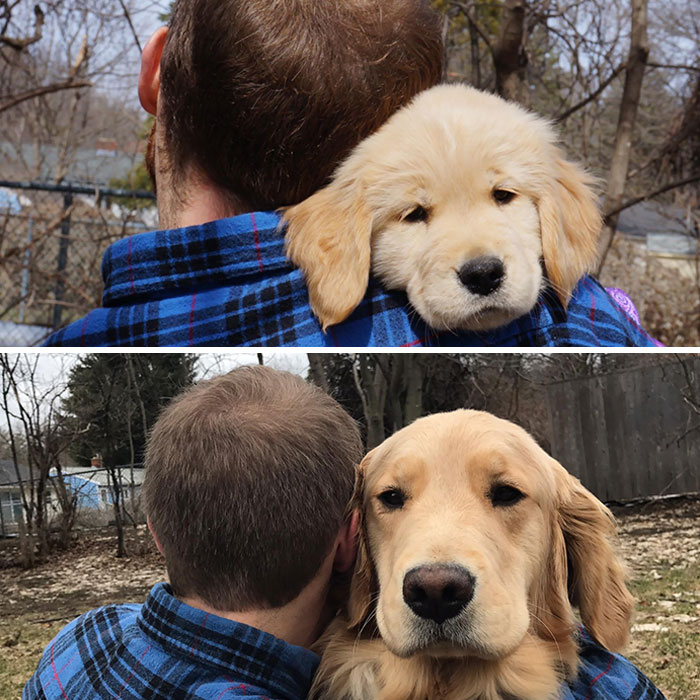 A Man And His Pup: A One Year Difference