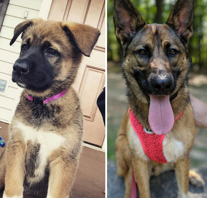 My Favorite Girl From 9 Weeks To 2 Years