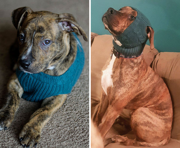 Still Looks Handsome In His Sweater 3 Years Later