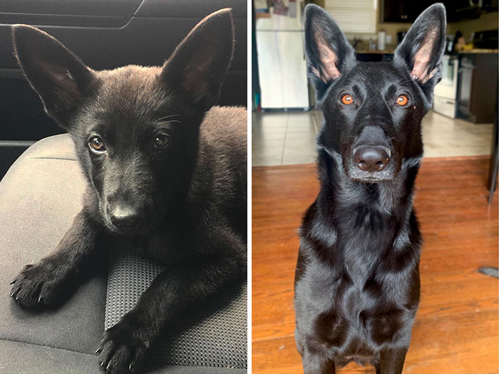 This Is Meera. 3 Months vs. 2 Years And Some Change
