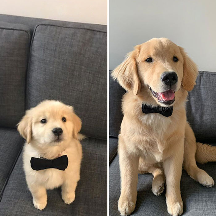 Handsome Boye Does A Grow