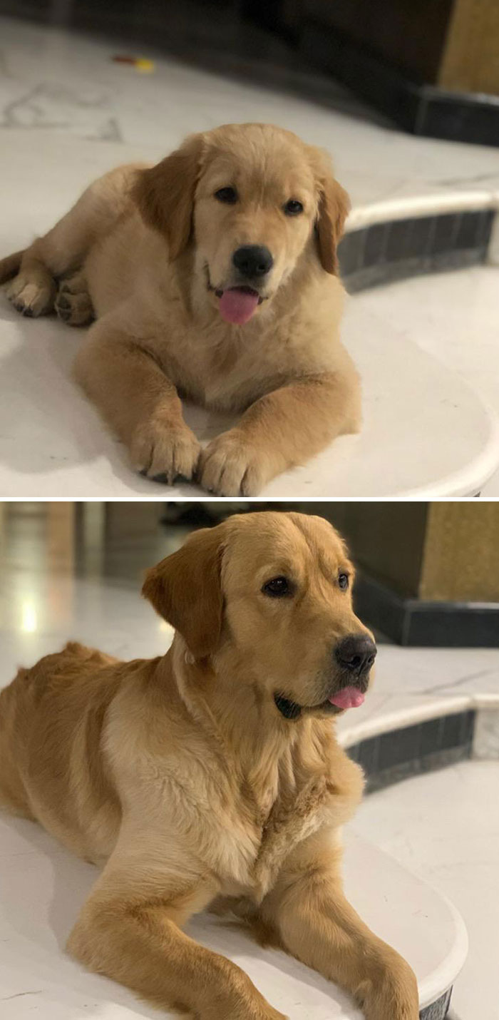 One Year Difference Blop