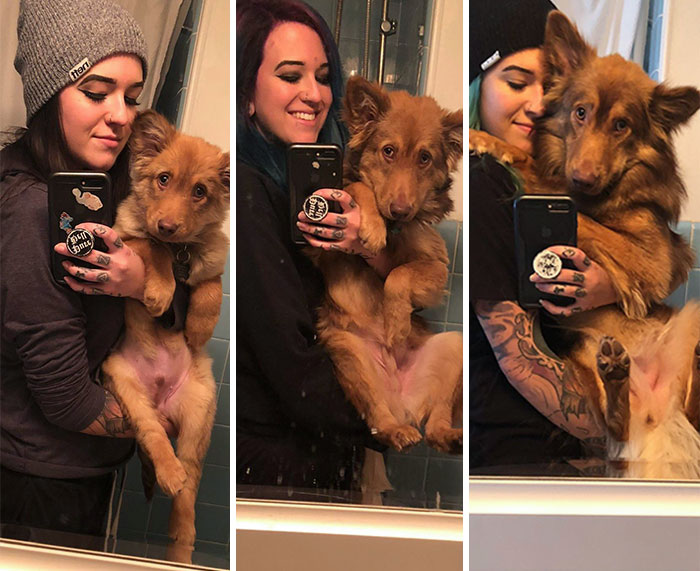 From Smol Pupper To Full Sized Doggo, Renly Has Loathed Every Mirror Selfie We've Ever Taken
