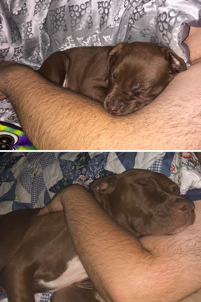 Seven Months Difference, Still Just As Snuggly