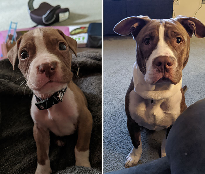 What A Difference Six Months Makes