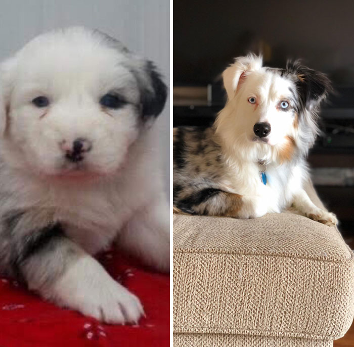 6 Weeks To Almost 3 Years