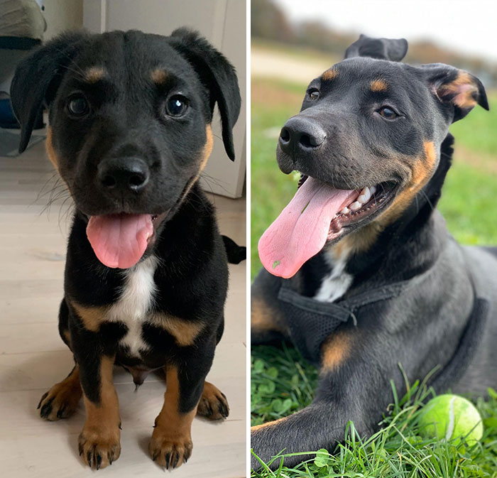 They Grow Up So Fast. (3 Months To 7 Months)