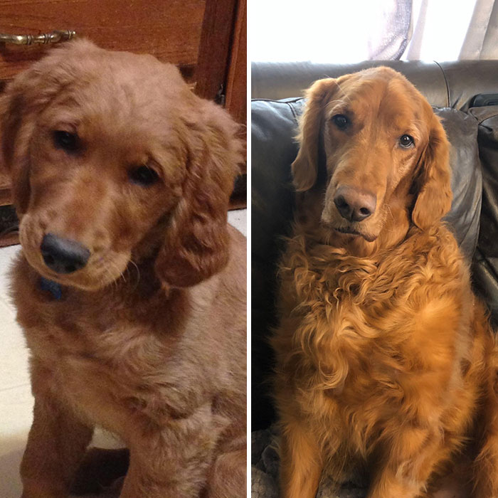 Louie’s 6 Year Transformation