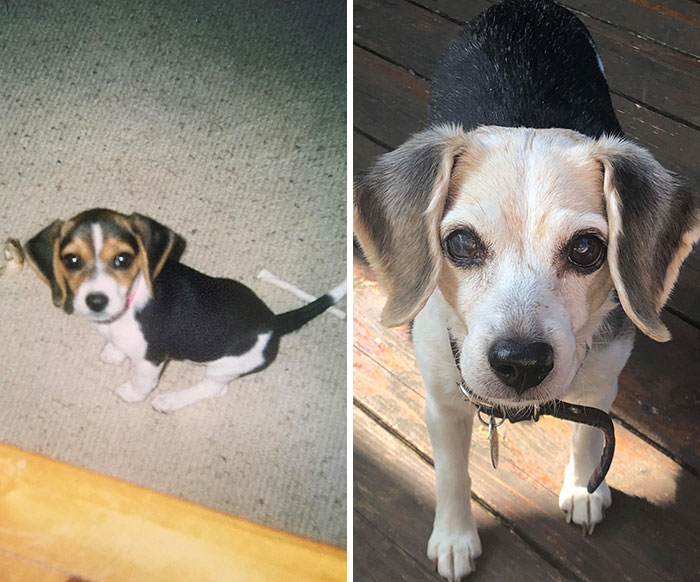 When I First Got Her (Few Months Old) To Now (15 Years Old)