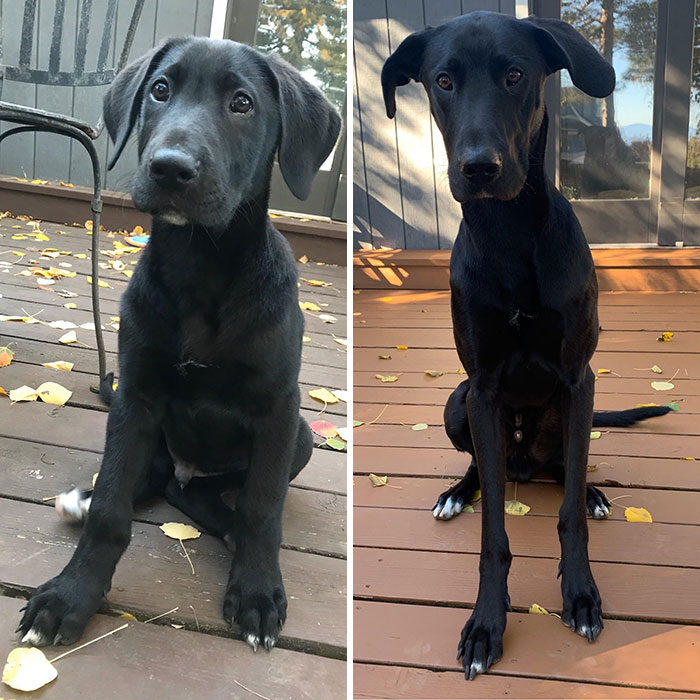 3 Months To 13 Months