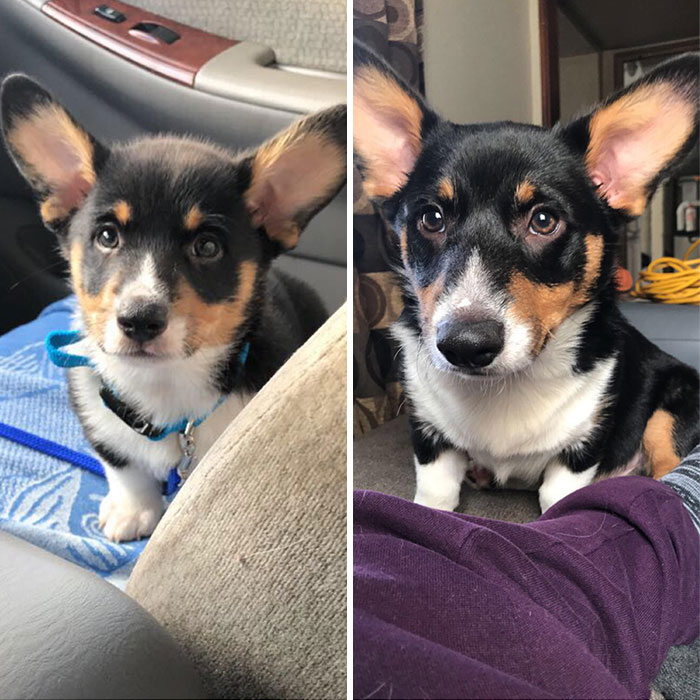 6 Weeks To 7 Months. My Baby Is A Grown Man Now