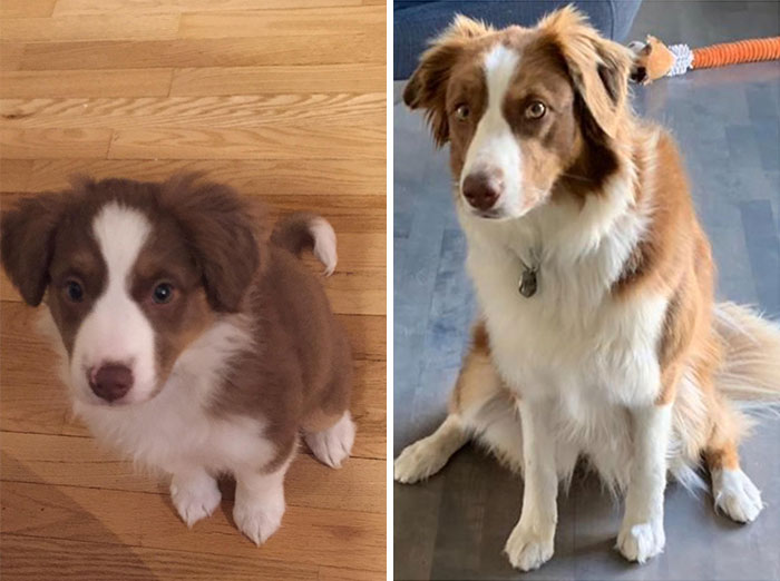 3 Months To 3 1/2 Years Old