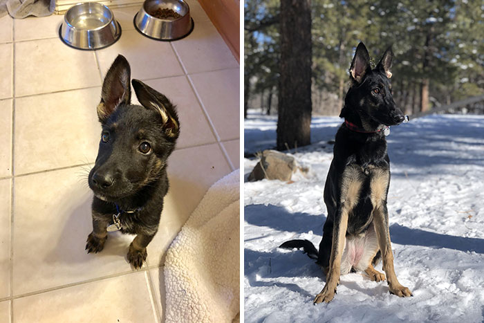 She Grew Up So Fast - 9 Weeks To 10 Months