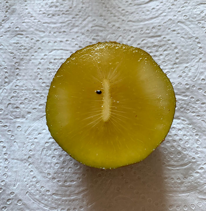 This Kiwi With Just One Seed