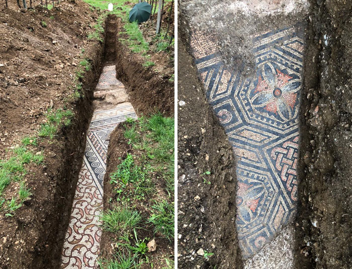 Se han encontrado mosaicos de una villa romana bajo un viñedo en Negrar, Italia