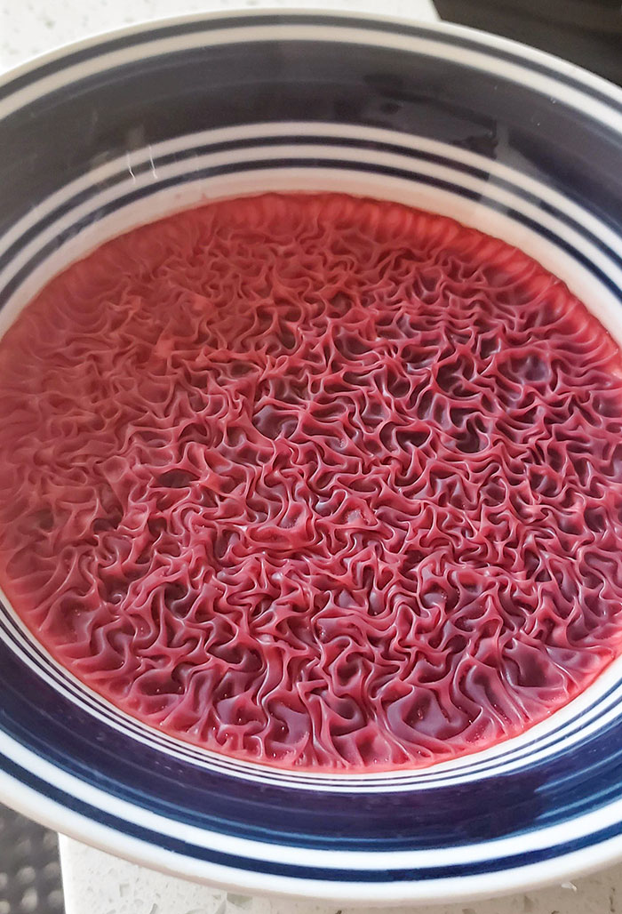 I Accidentally Left A Bowl Of Beet Juice On The Counter And The Top Layer Rippled
