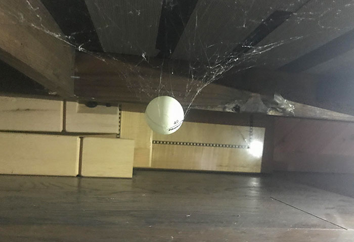 I Found A Ping Pong Ball Under My Basement Sofa That Is Elevated By Spider Cobwebs
