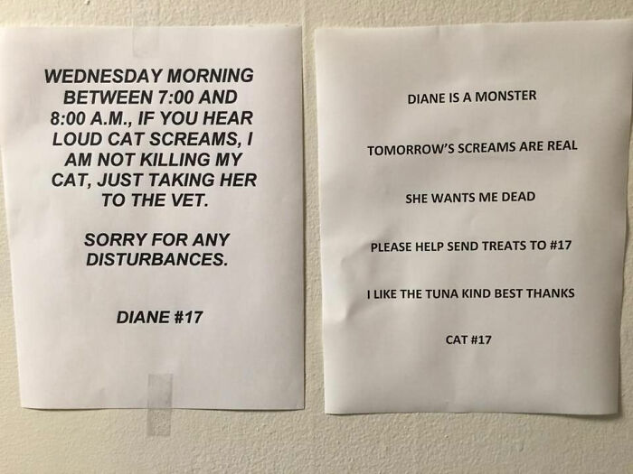 Funny-Cat-Notes-Warnings