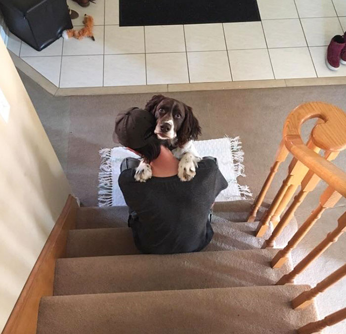 Mi novio y su perro se dan un abrazo todas las mañanas y resulta que esta vez estaba detrás de él en la escalera