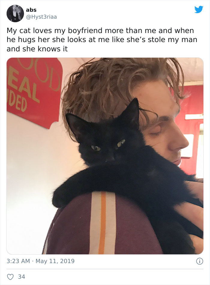 Mi gata quiere a mi novio más que a mi, y cuando él la abraza ella me mira como si me hubiera robado a mi hombre y lo supiera