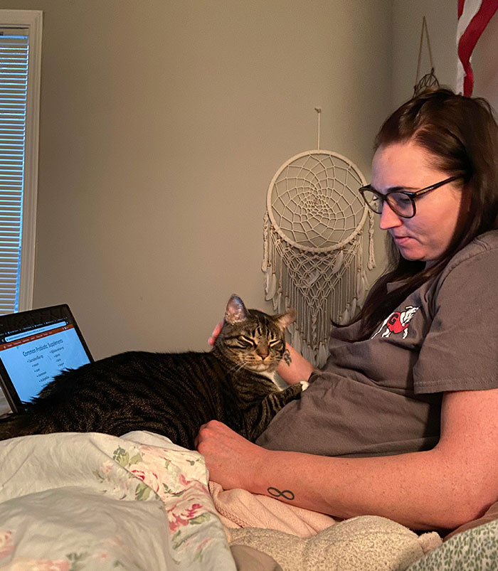 My Cat Stealing My Girlfriend, Preventing Her From Studying, And Then Looking Back At Me To See If I’m Jealous