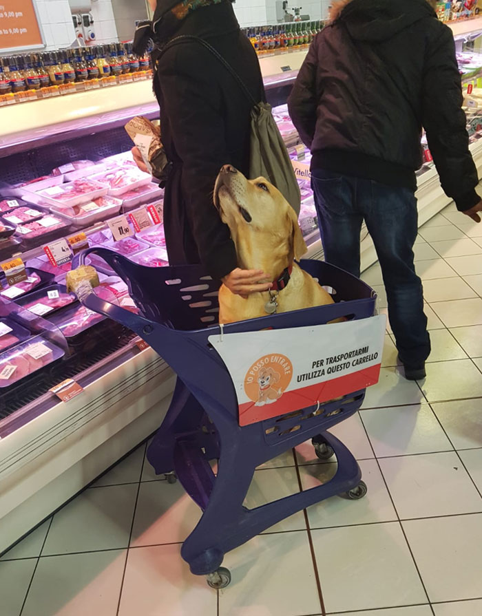 En los supermercados italianos tienen carritos para las mascotas