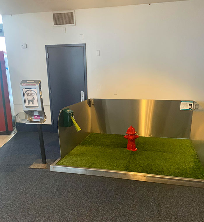 This Airport Has A Place For Your Dog To Use The Restroom