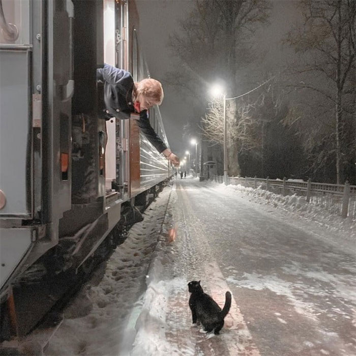 Every Day At The Same Exact Time, This Stray Cat Meets The Train's Conductor For A Treat